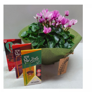 מארז רקפות ושוקולד